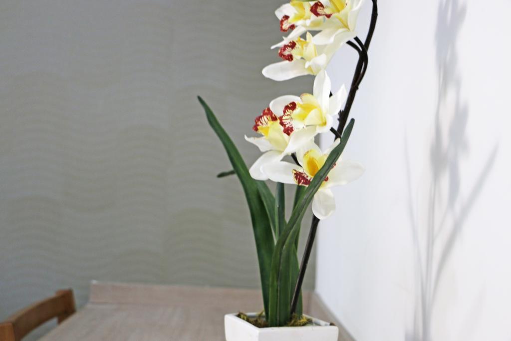 Pousada Shangrila 리베이라오프레토 객실 사진